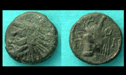Panticapaeum, Old Satyr with Ox reverse